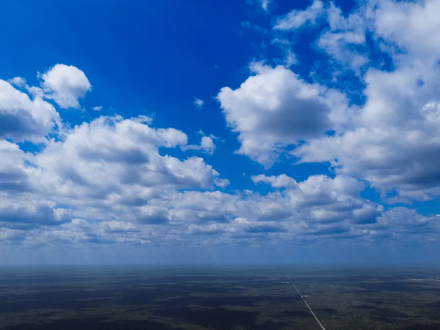 Vista aérea real de la selva maya